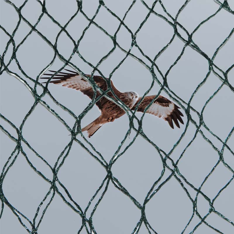 انتخاب مواد و مزایا و معایب تورهای پیشگیری از پرندگان چیست؟