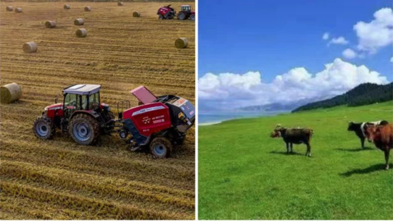 کاربرد لفاف توری عدل در فعالیت های کشاورزی