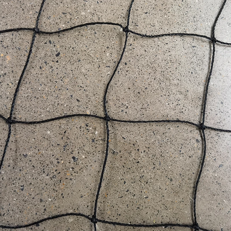 نقش تورهای کریکت