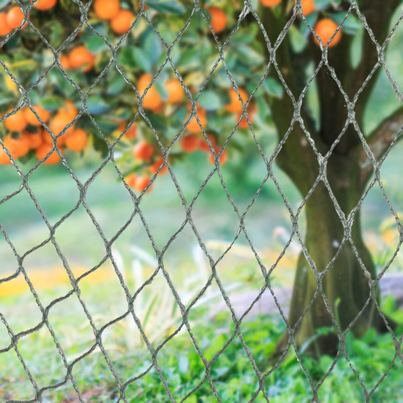 موانع حیوانات توری پرنده