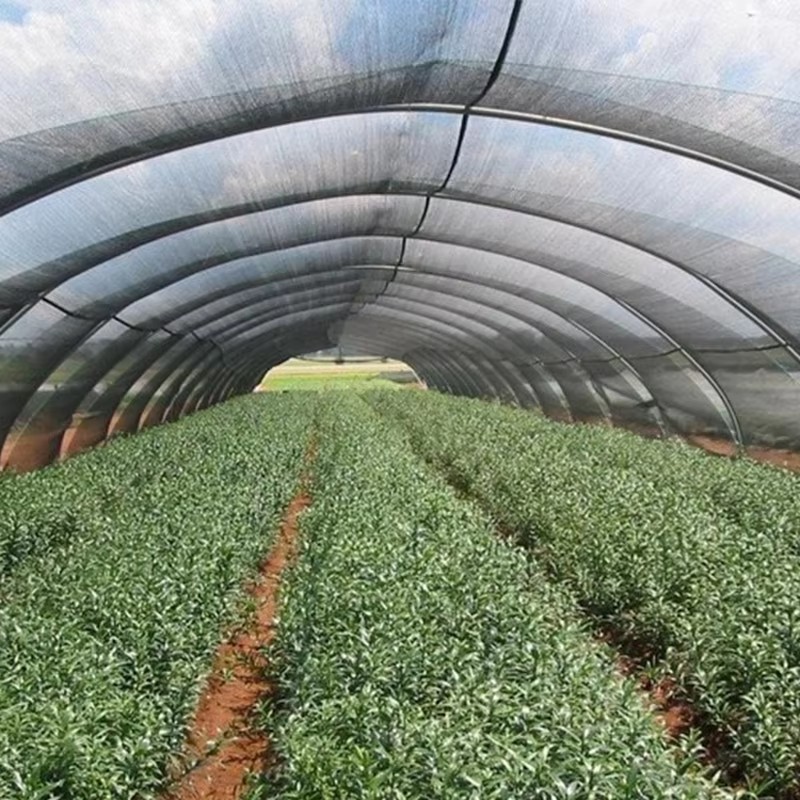 پارچه سایه باغ برای گیاهان 40٪ مسدود شده در آفتاب